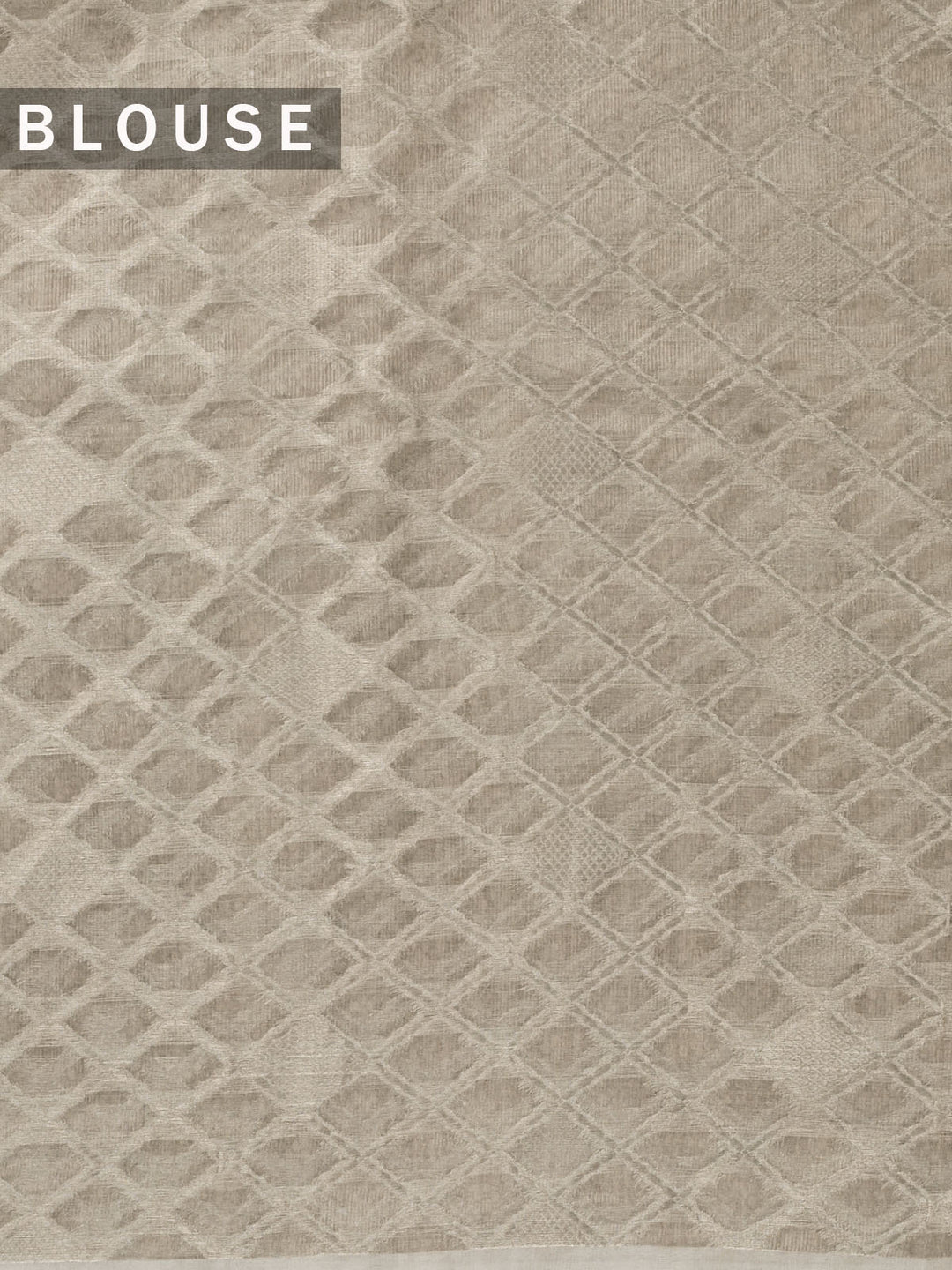 Silver Pure Tissue Broacde Banarasi Saree_5