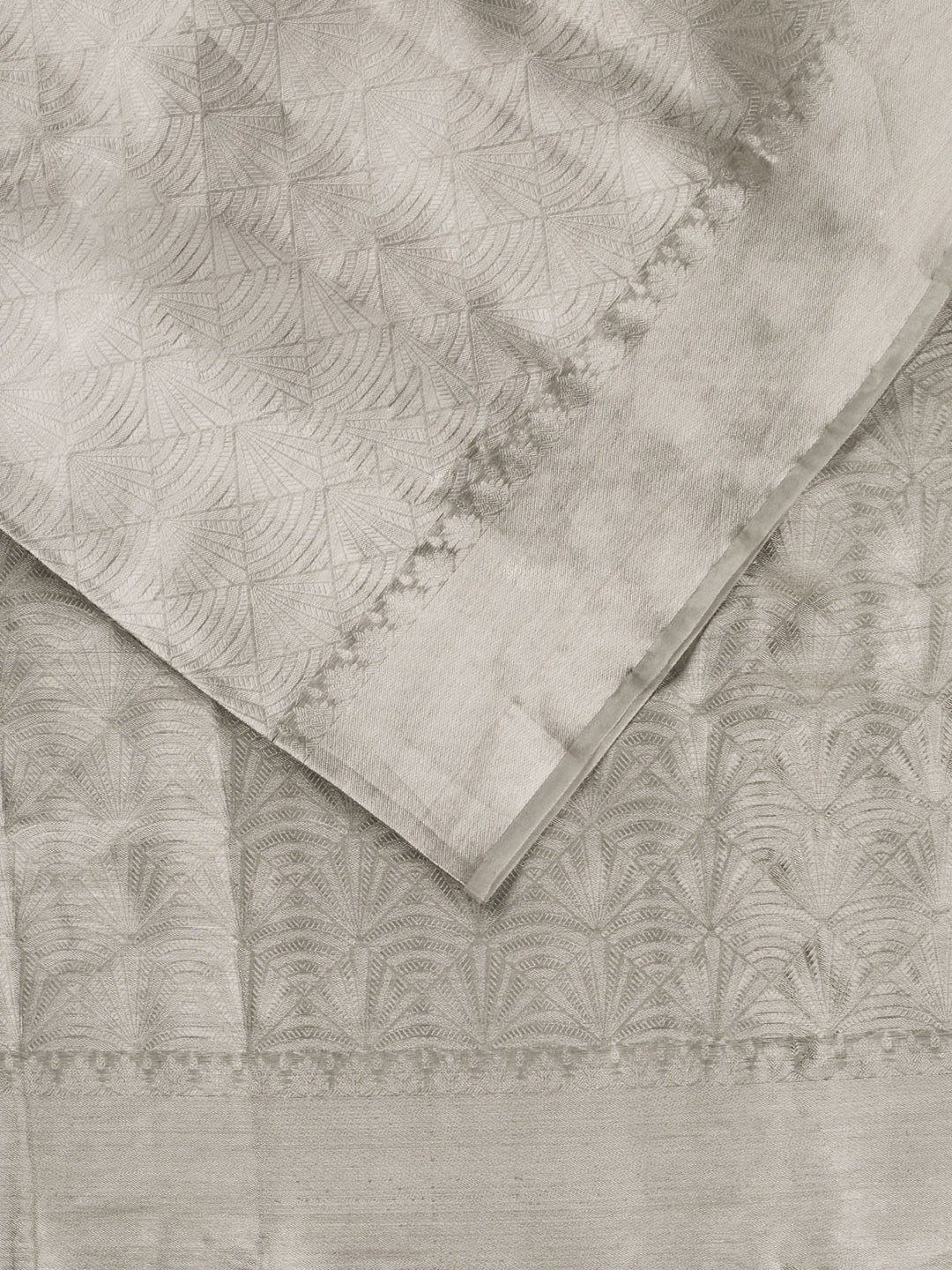 Silver Pure Tissue Broacde Banarasi Saree_2