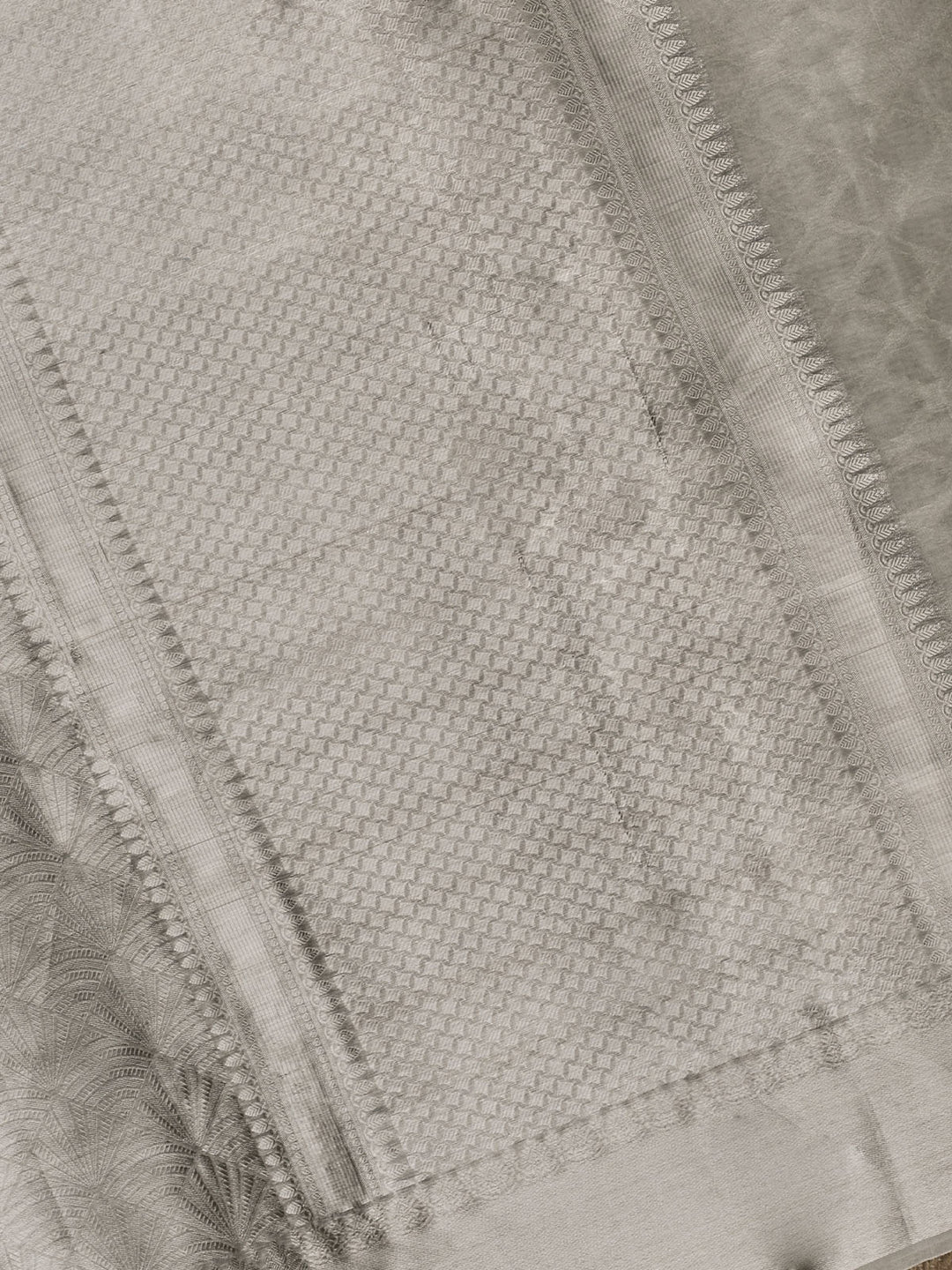 Silver Pure Tissue Broacde Banarasi Saree_4