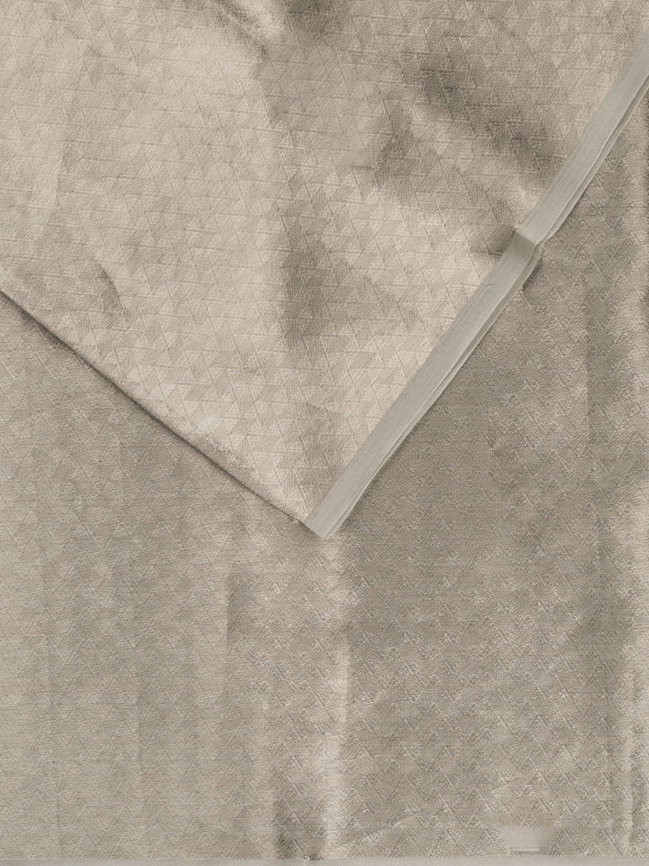 Silver Pure Tissue Zari Weave Banarasi Saree