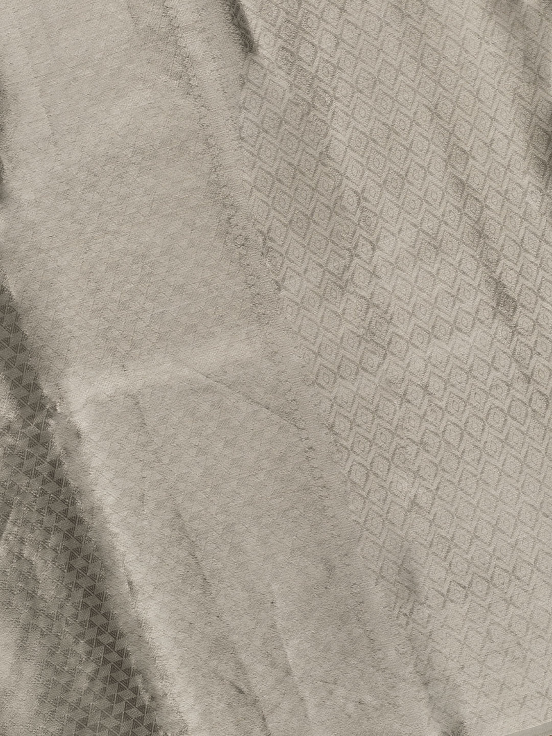 Silver Pure Tissue Zari Weave Banarasi Saree_4