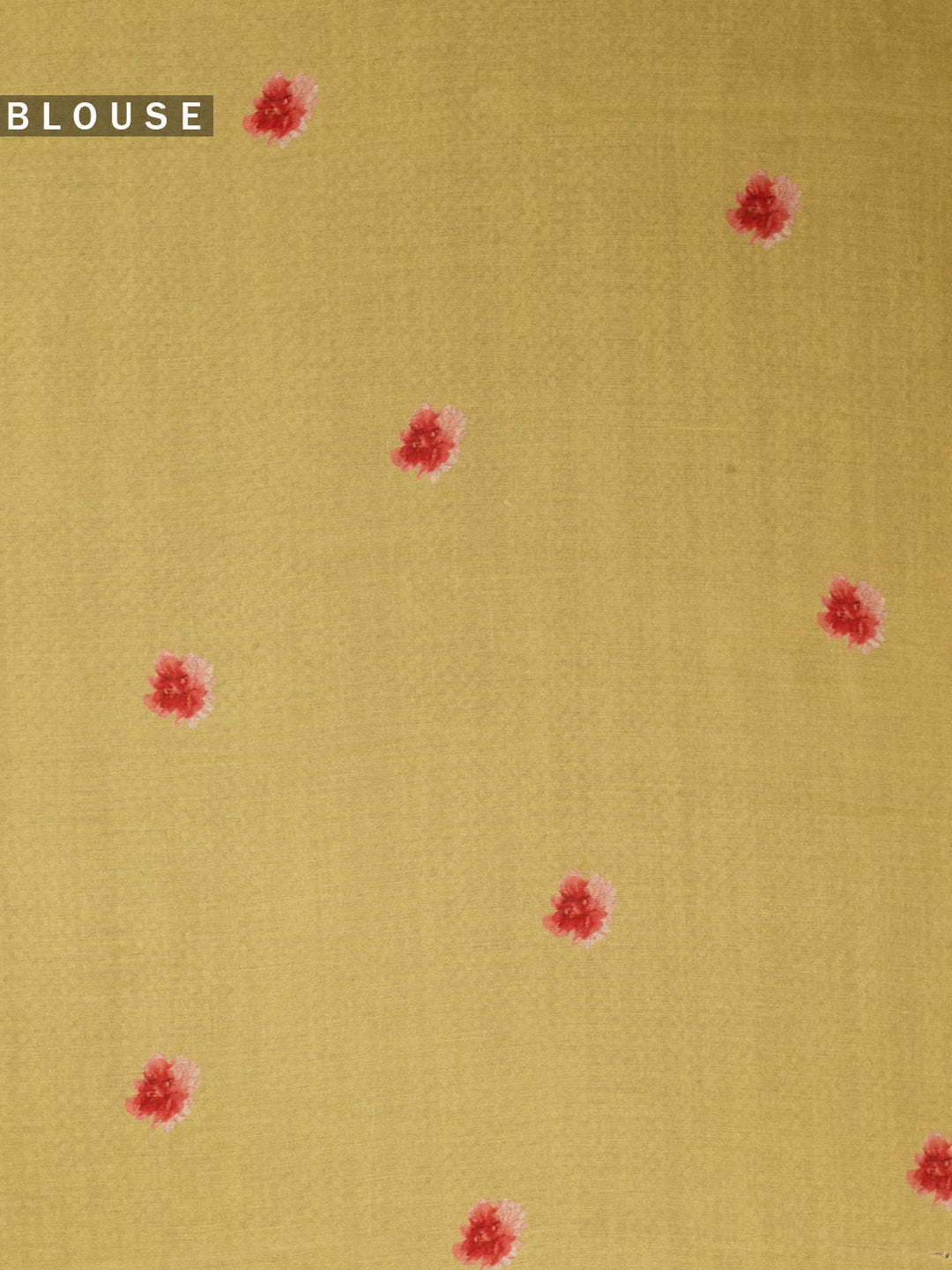 Yellow  Pure Organza Printed Banarasi Saree_5