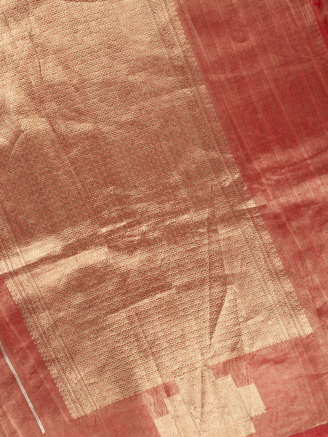 Orange Pure Tissue  Sonarupa Stripes Banarasi Saree_4