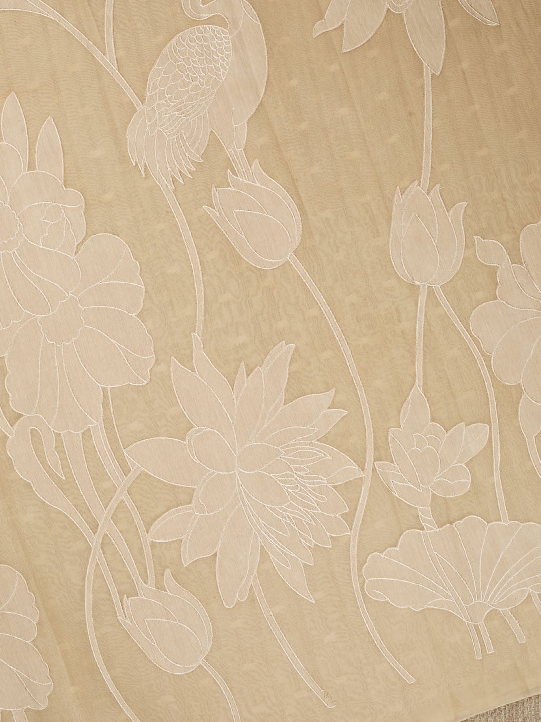 Beige Pure Organza Plain Banarasi Saree_4