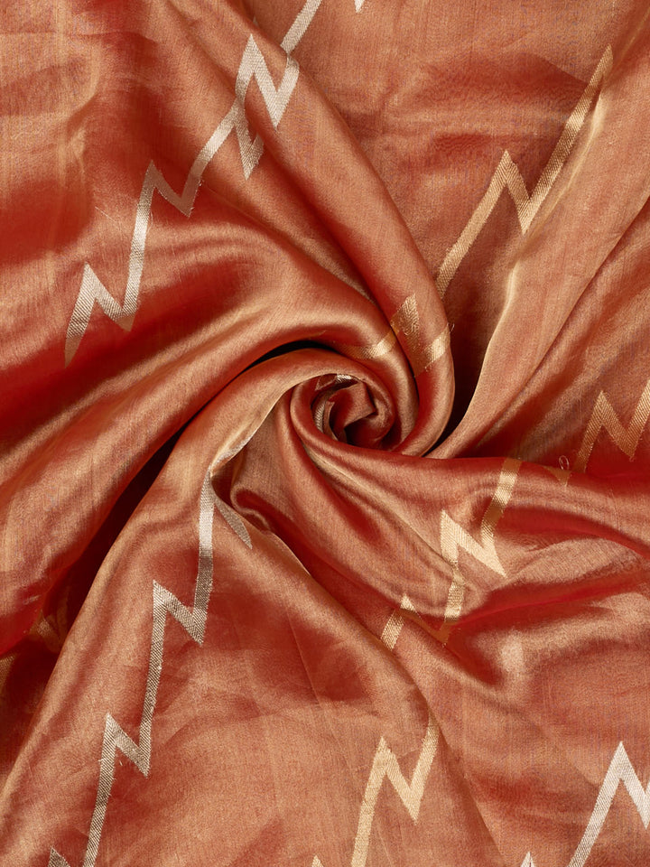 Orange Pure Tissue Sonarupa Zigzag Banarasi Saree