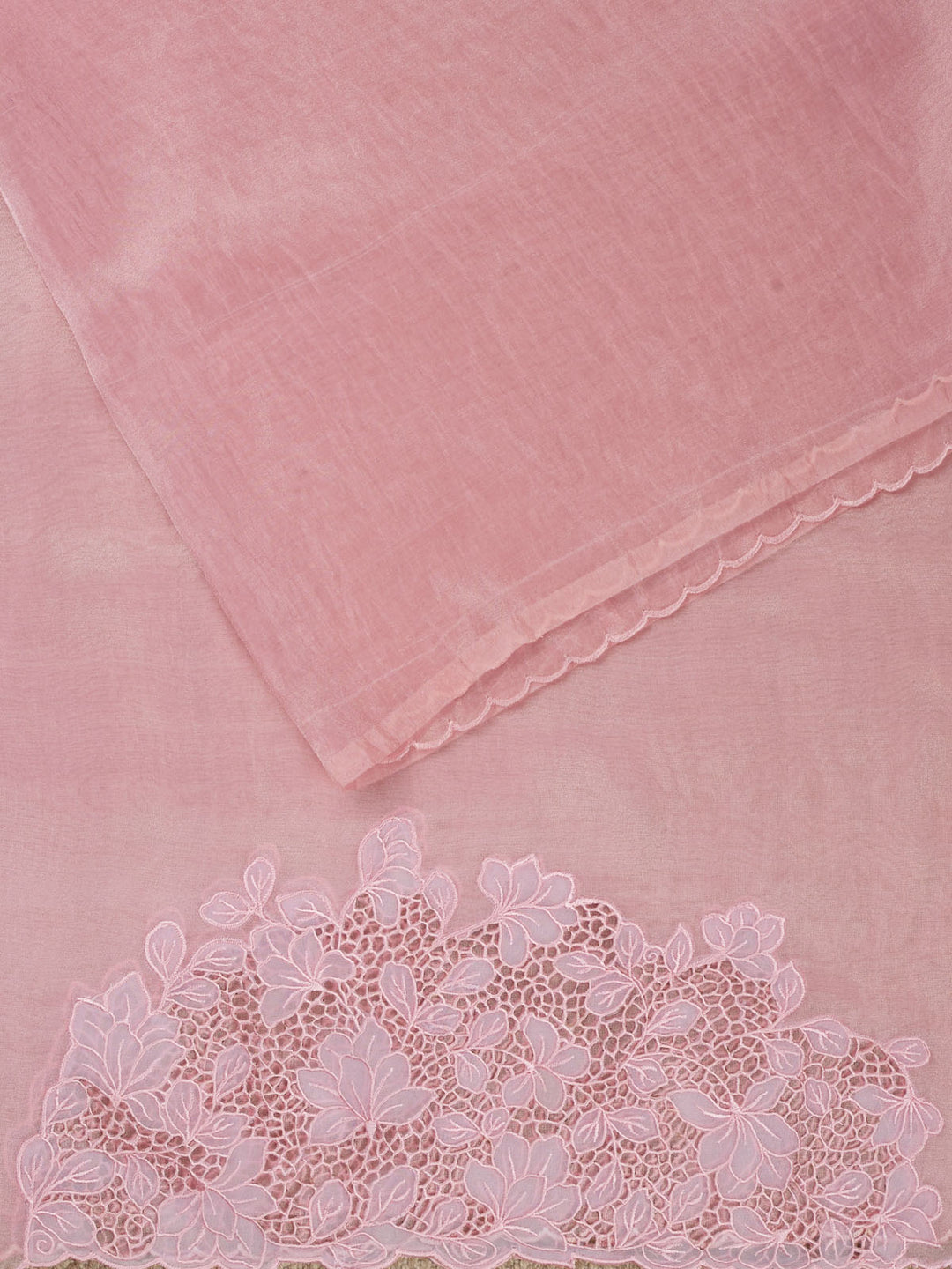 Pink Tissue Plain Banarasi Saree_2