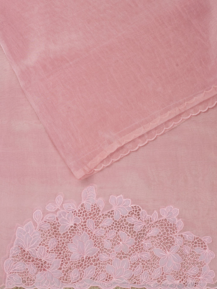 Pink Tissue Plain Banarasi Saree