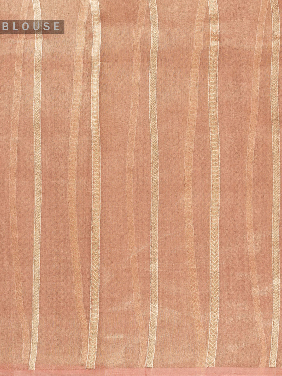 Peach Pure Tissue Sonarupa Butis Banarasi Saree_5