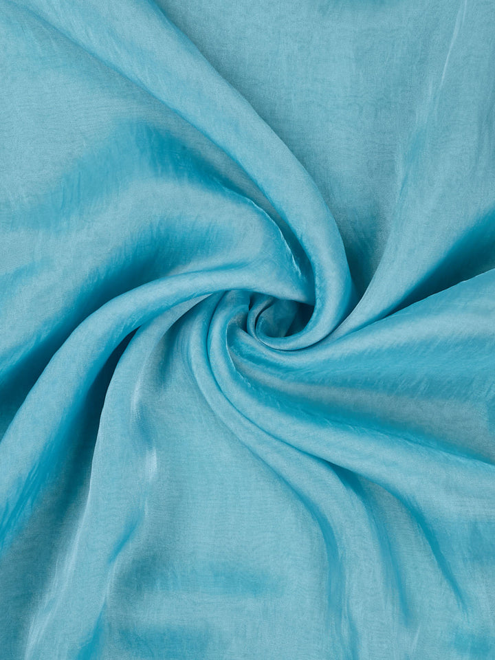 Blue Tissue Plain Banarasi Saree