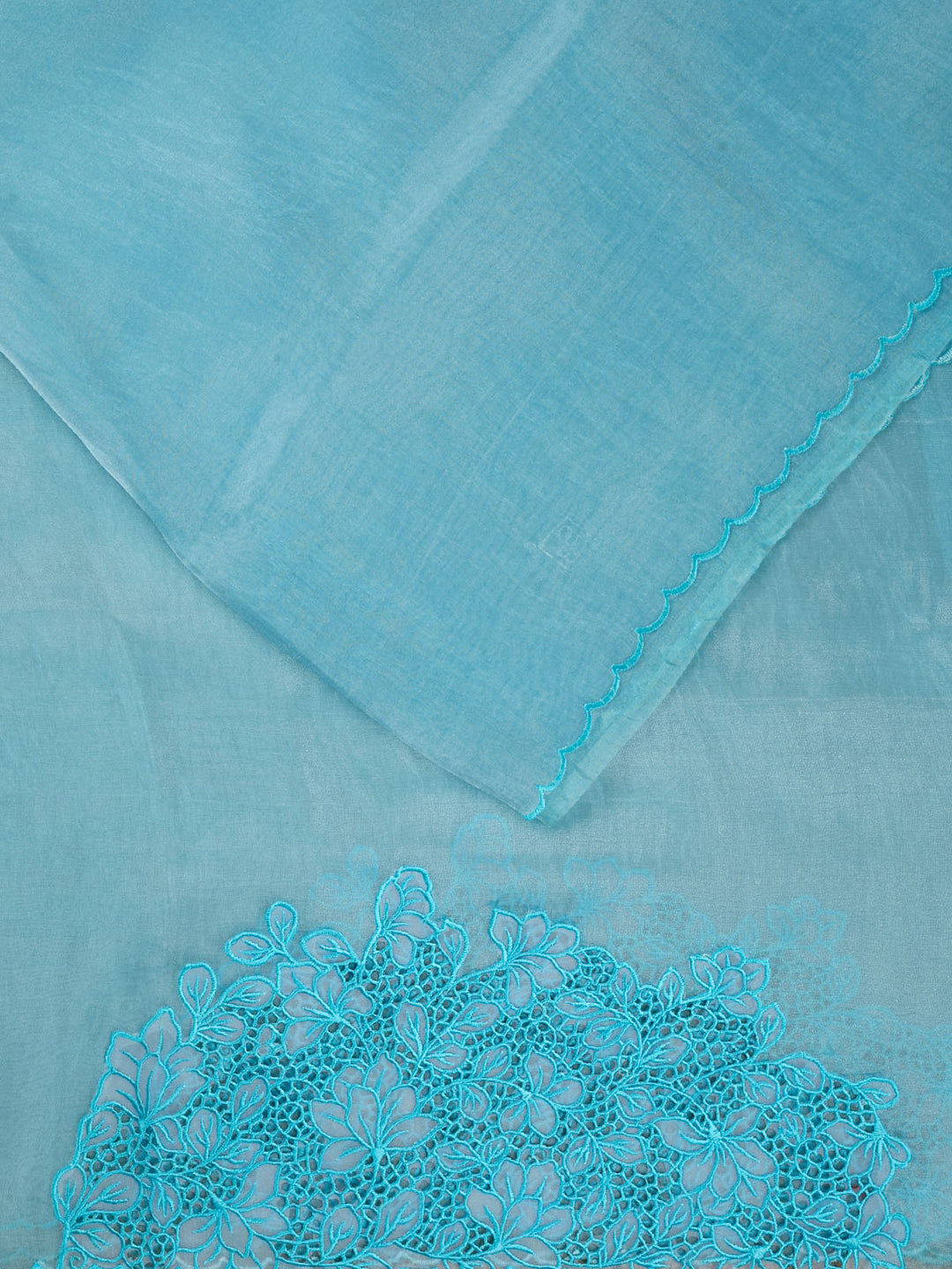 Blue Tissue Plain Banarasi Saree_2