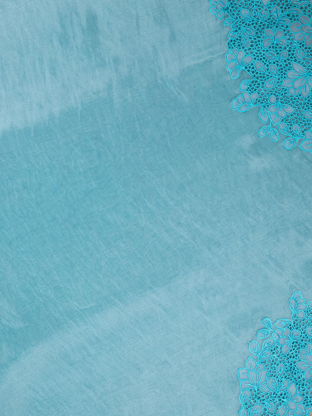 Blue Tissue Plain Banarasi Saree_4