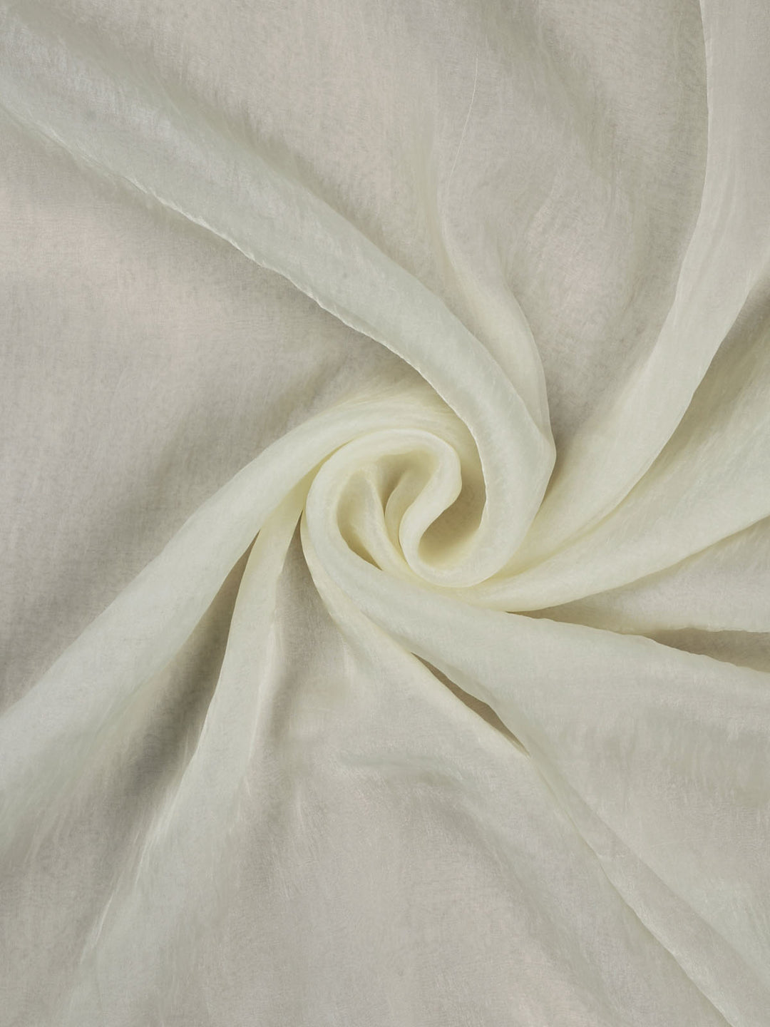 White Tissue Plain Banarasi Saree_3