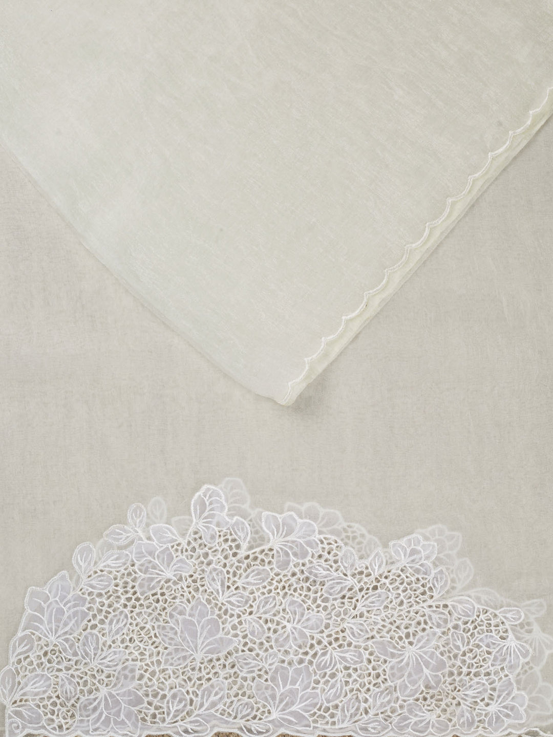 White Tissue Plain Banarasi Saree_2