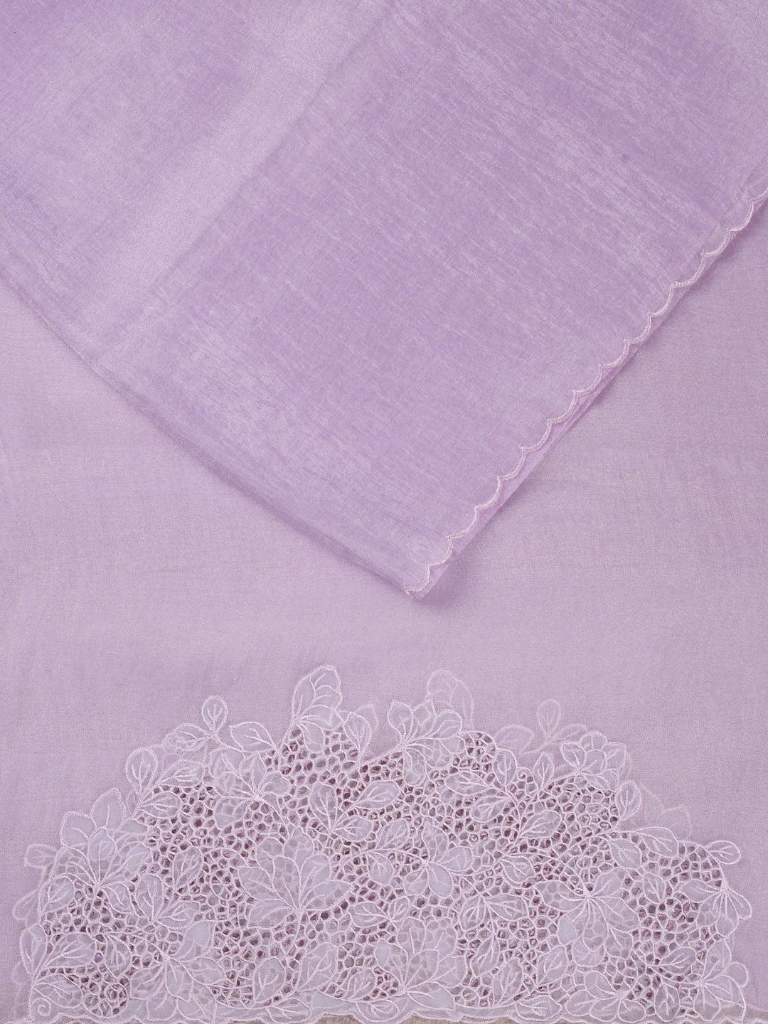 Purple Tissue Plain Banarasi Saree_2