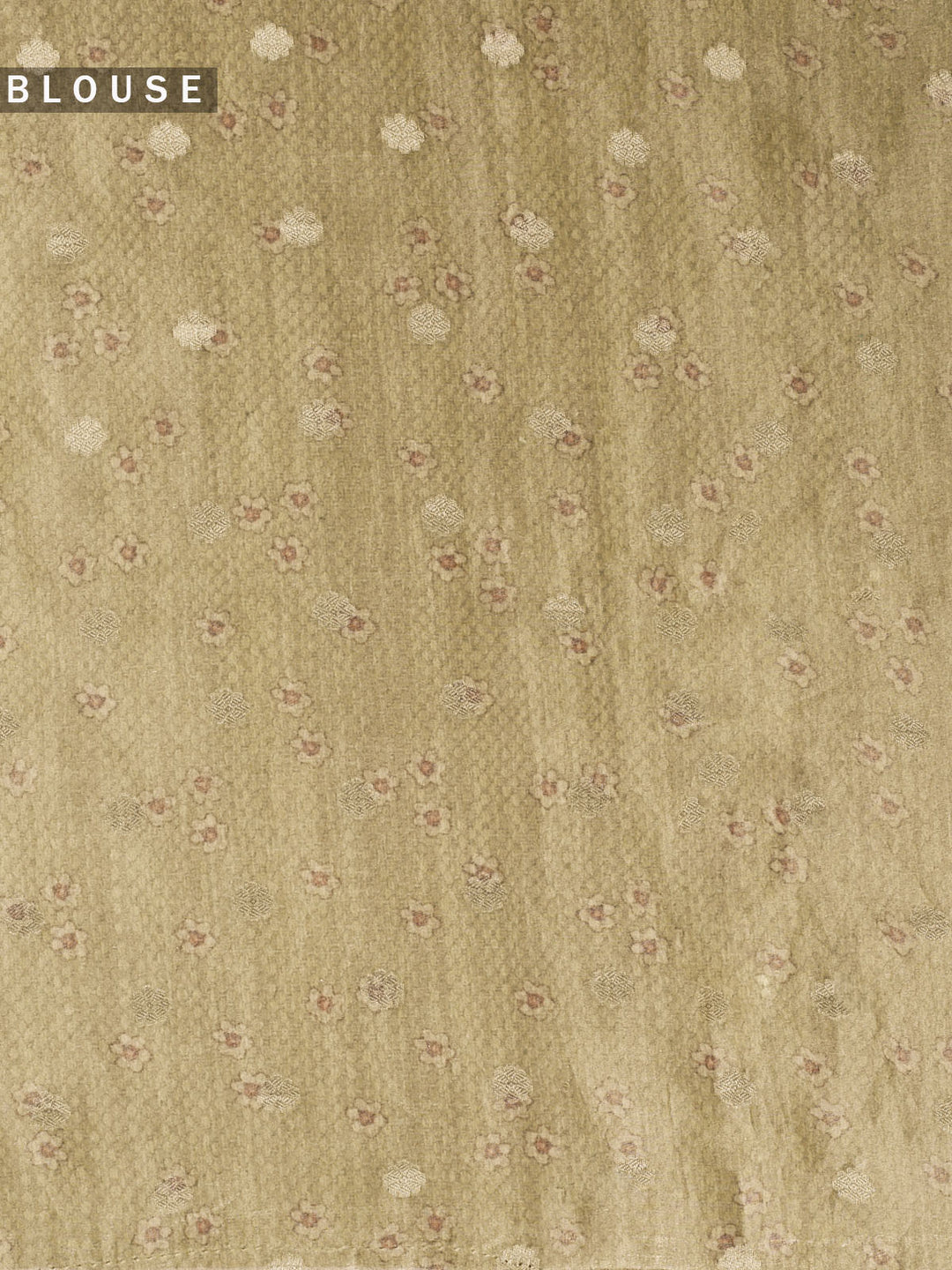 Green Pure Tissue Printed Banarasi Saree_5