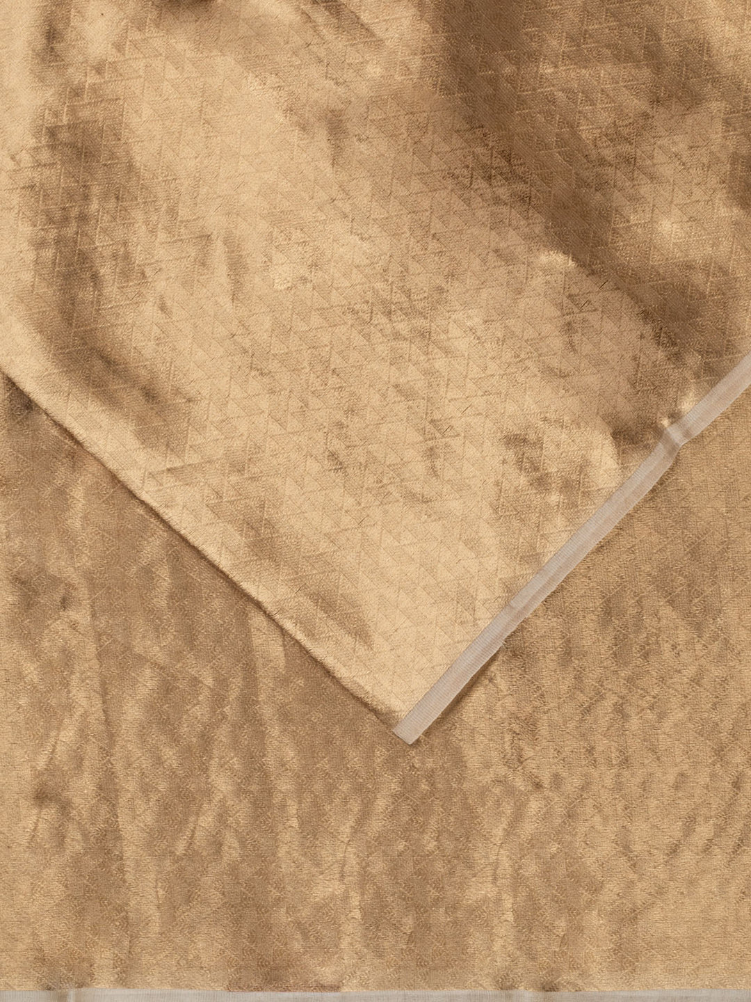 Biege Pure Tissue Zari Weave Banarasi Saree_2