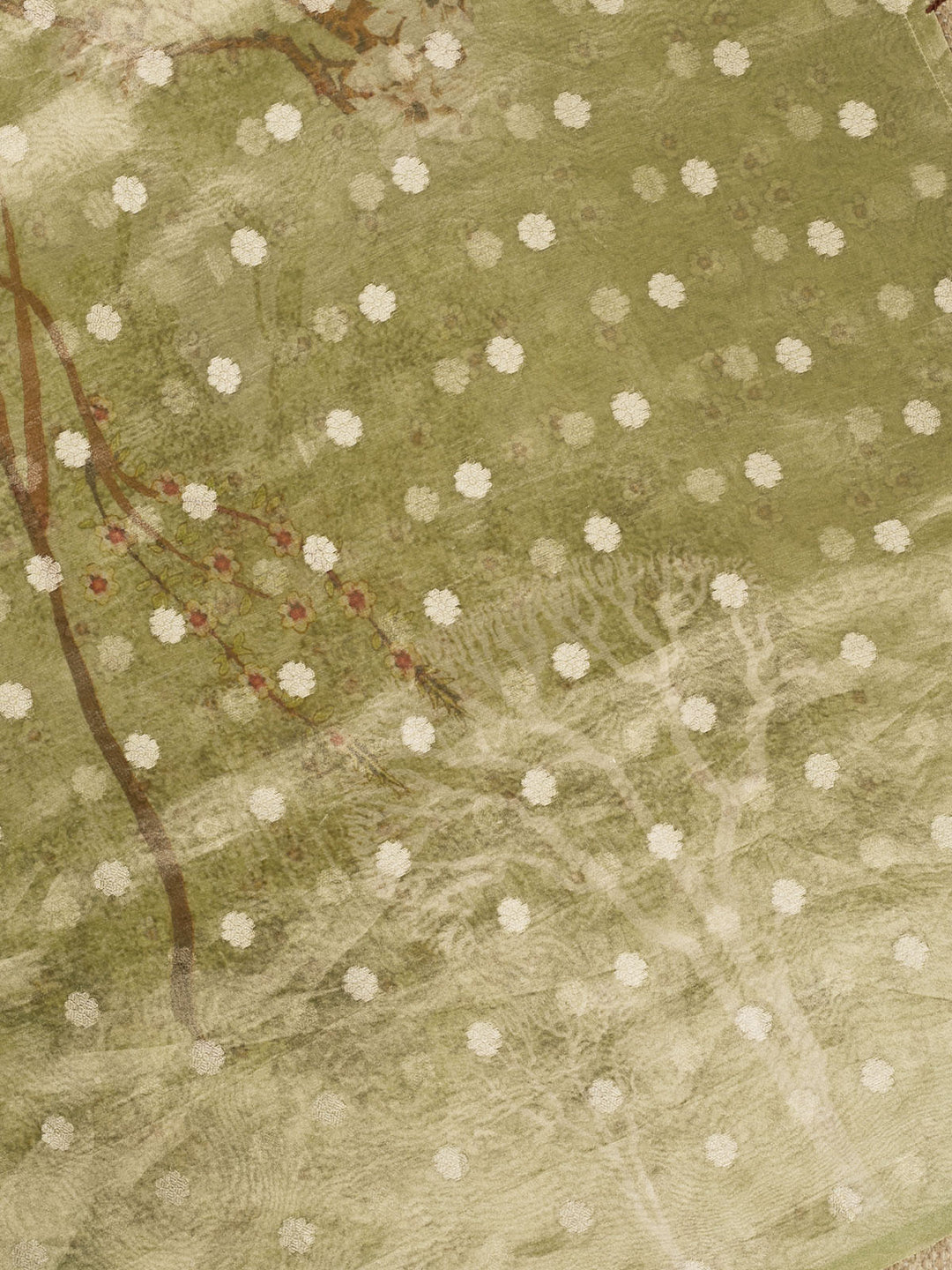 Green Pure Tissue Printed Banarasi Saree_4