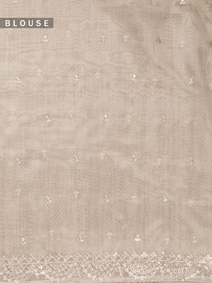 Green Tissue Plain Banarasi Saree