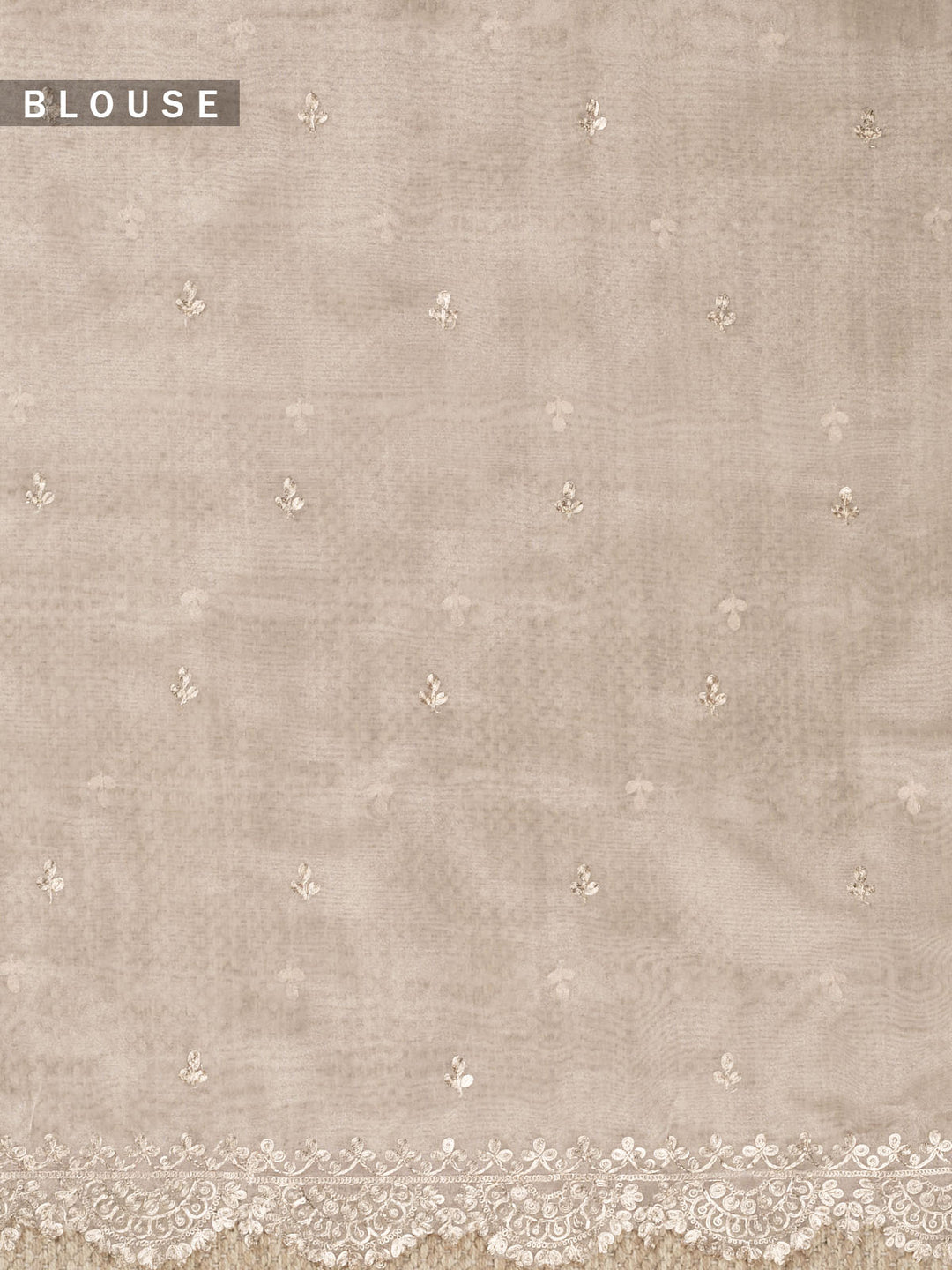 Firozi Tissue Plain Banarasi Saree_5