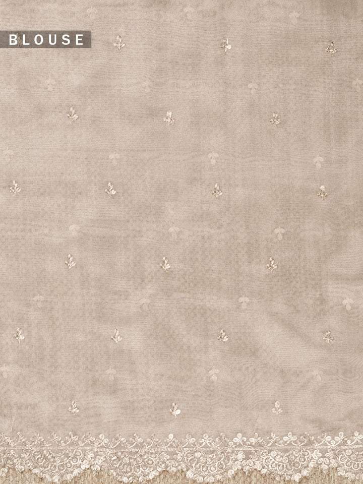 Firozi Tissue Plain Banarasi Saree