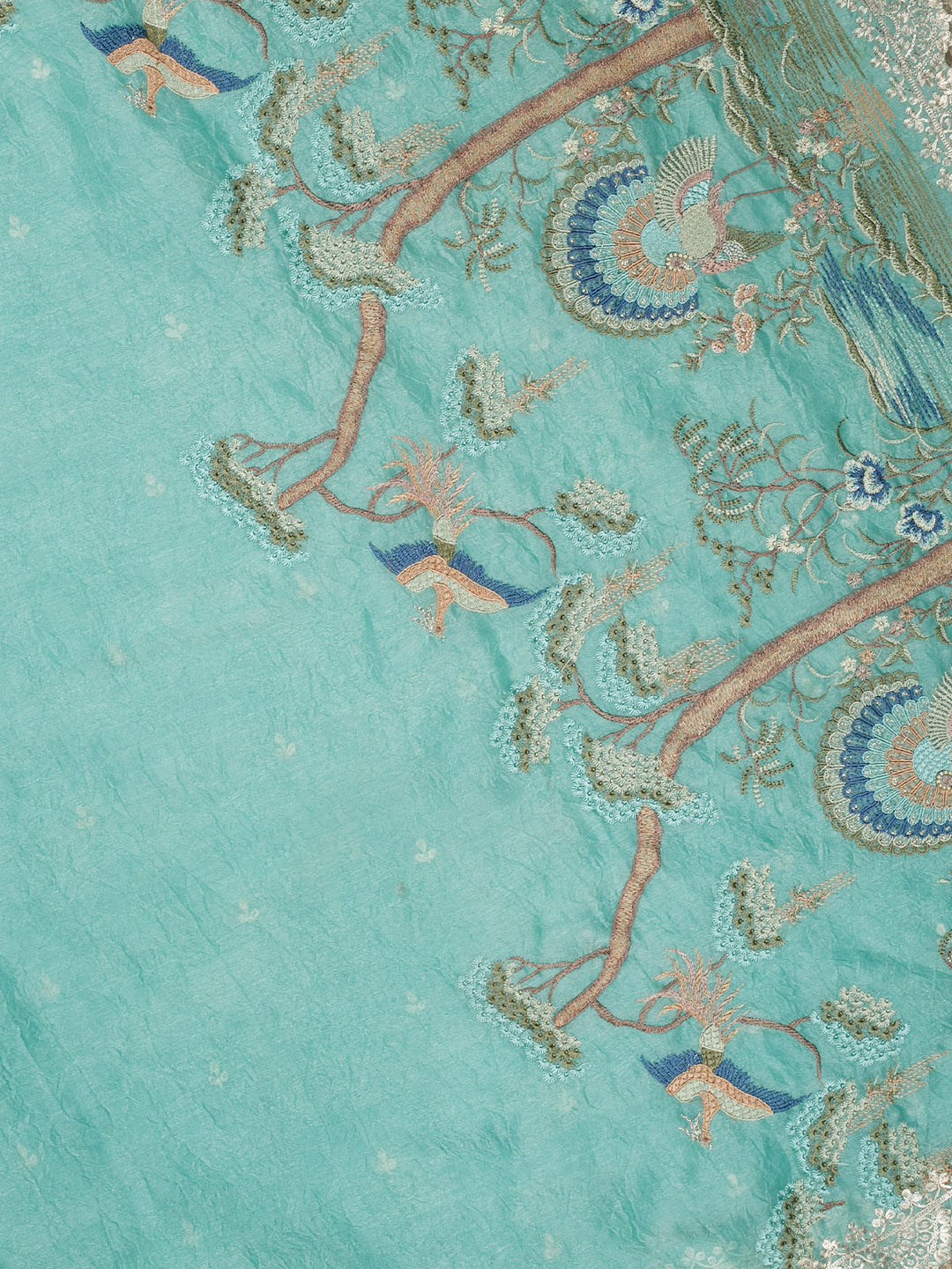 Firozi Tissue Plain Banarasi Saree_4