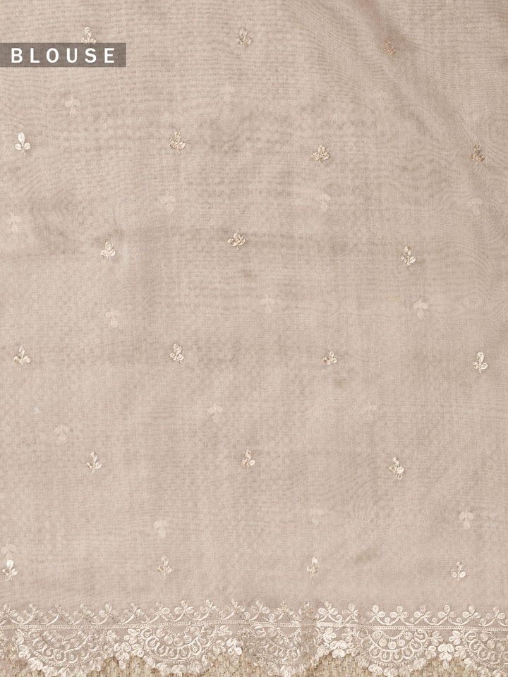 Mauve Tissue Plain Banarasi Saree