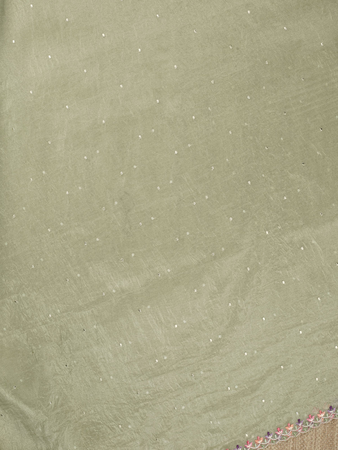 Green Semi Tissue Plain Banarasi Saree_3