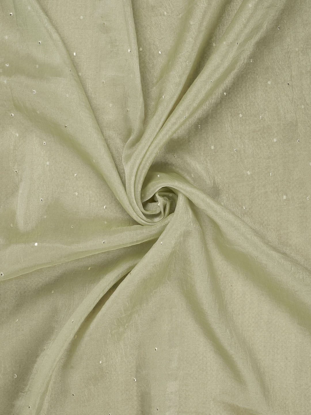 Green Semi Tissue Plain Banarasi Saree_4