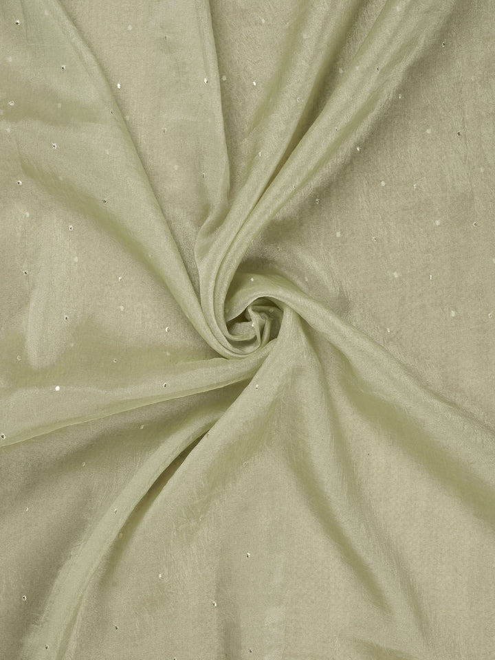 Green Semi Tissue Plain Banarasi Saree