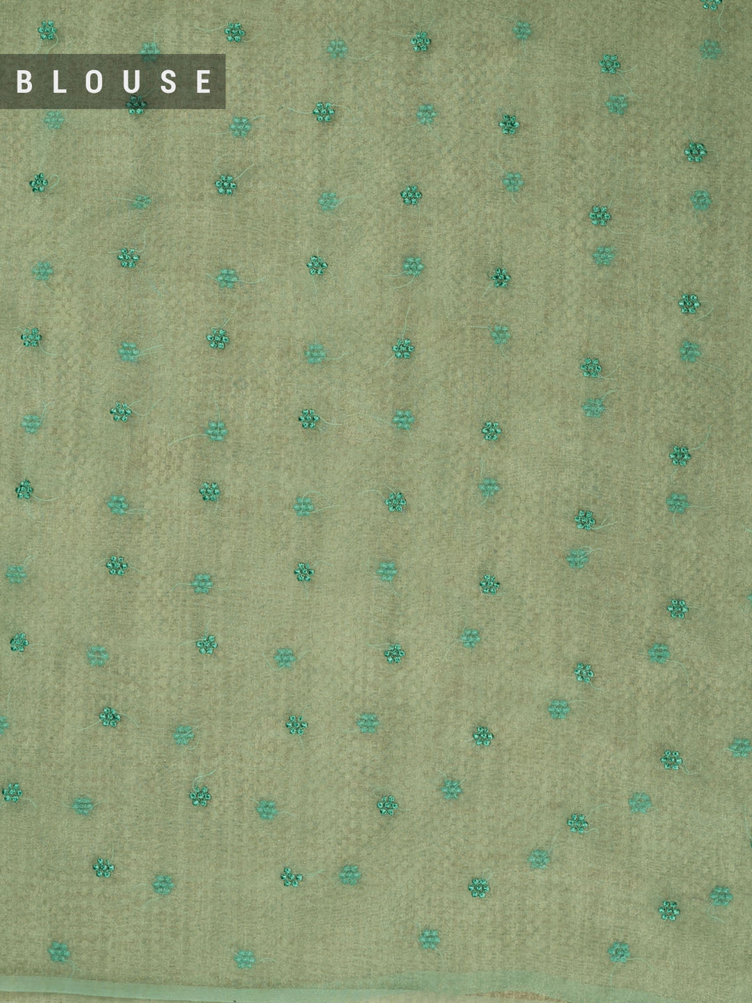 Green Semi Tissue Plain Banarasi Saree_5