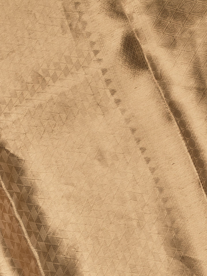 Biege Pure Tissue Zari Weave Banarasi Saree